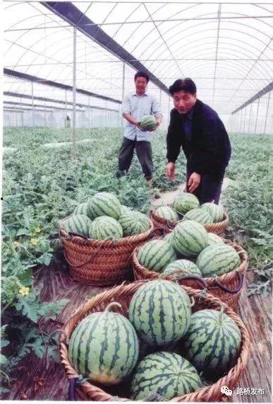 路桥吃瓜最新事件爆料,最新吃瓜事件揭秘，真相令人震惊！